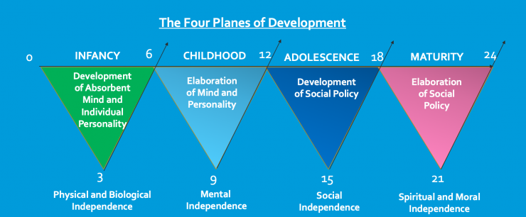 Four planes of development montessori essay picture